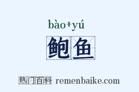 鲍鱼是什么意思的图片